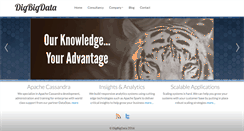 Desktop Screenshot of digbigdata.com