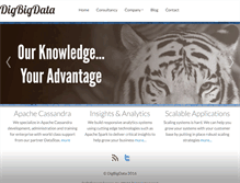 Tablet Screenshot of digbigdata.com